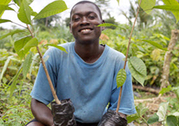 The Cocoa Plan