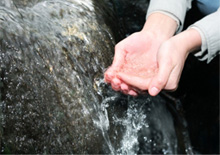 Water & Environmental Sustainability