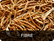 fibre