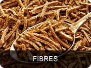 fibres