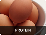 protein - eggs