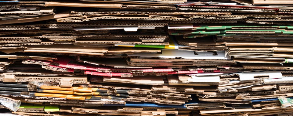 These pet food factories are cutting landfill waste to zero