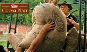Le Nestlé Cocoa Plan distribue plus de cacao durable