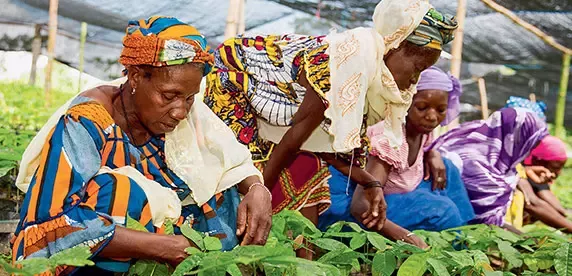 Nestle in Society Report 2015