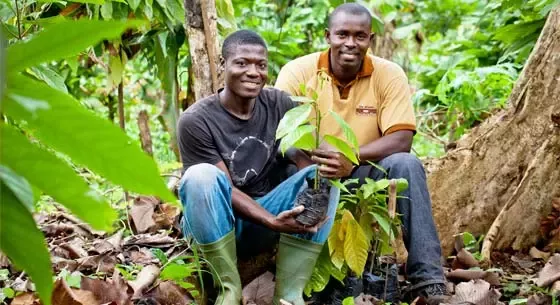 Nestlé sets out actions to address child labour in response to the Fair Labor Association report on the company’s cocoa supply chain