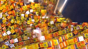 Maggi