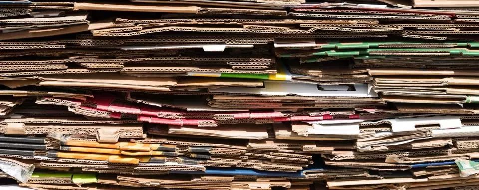 These pet food factories are cutting landfill waste to zero